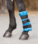 kamašna za hlađenje tetiva i ligamenata nogu konja