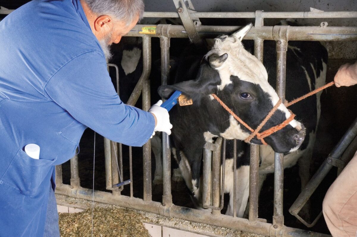 Klešta sa iglom za trajne markice - Слика 2
