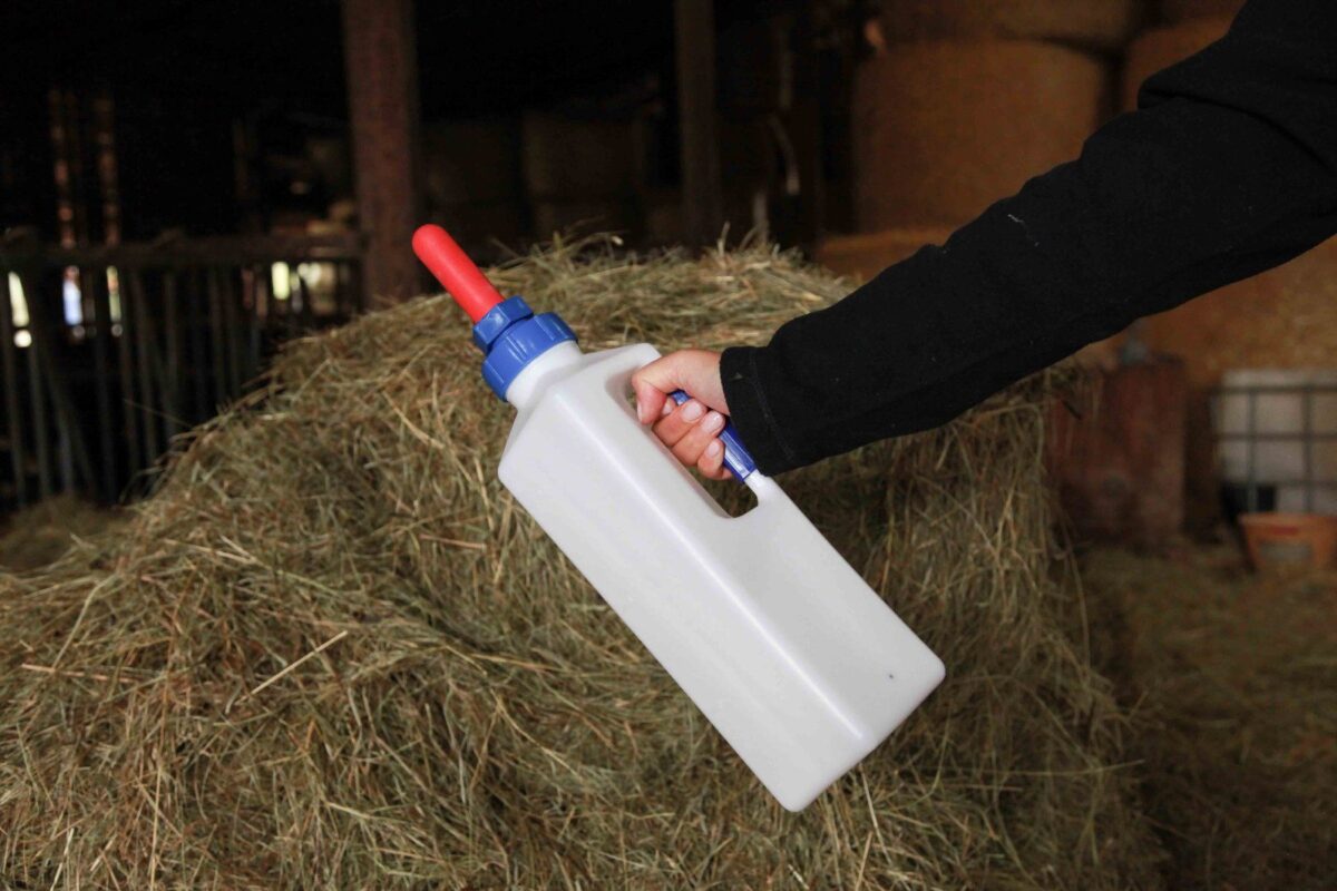 Flaša za dojenje teladi 3l - Слика 2