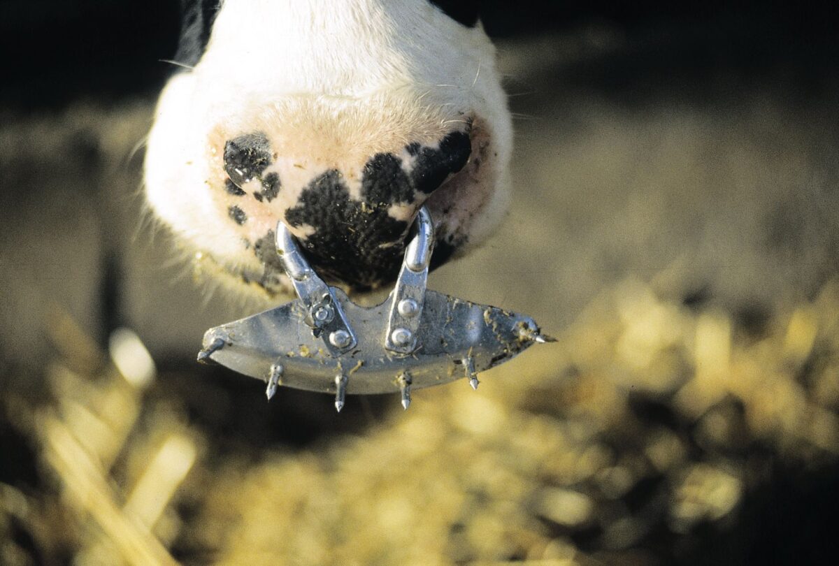 Štitnik protiv sisanja - ALU - Слика 2