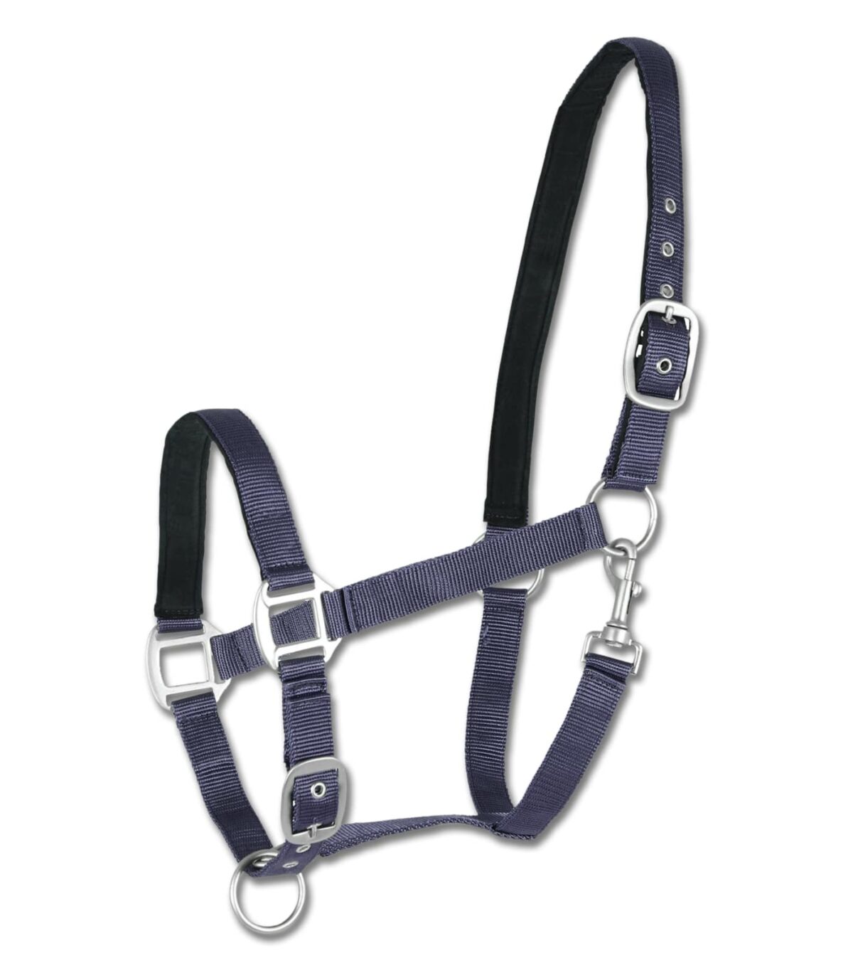 Ular Waldhausen Plavi