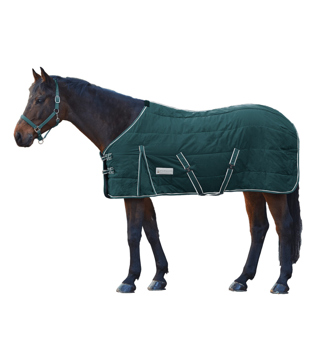 stalsko-ceme-zelenio Štalsko ćebe