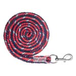 povodac shine waldhausen