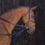 Pomoćni dizgin sa gumenim prstenovima Riding World