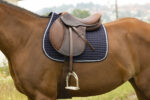 Podsedlica Girly Riding World teget