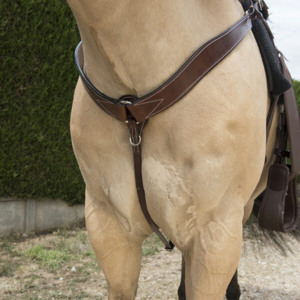 pršnjak randols western havana