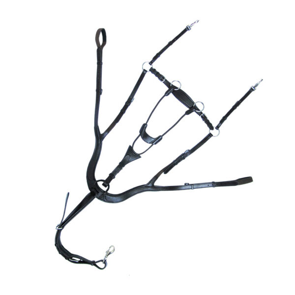 Pršnjak i martingal Caya 4