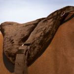 Seblo Bareback Confort