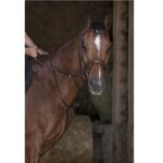 Martingal sa gumenim stoperom Riding World