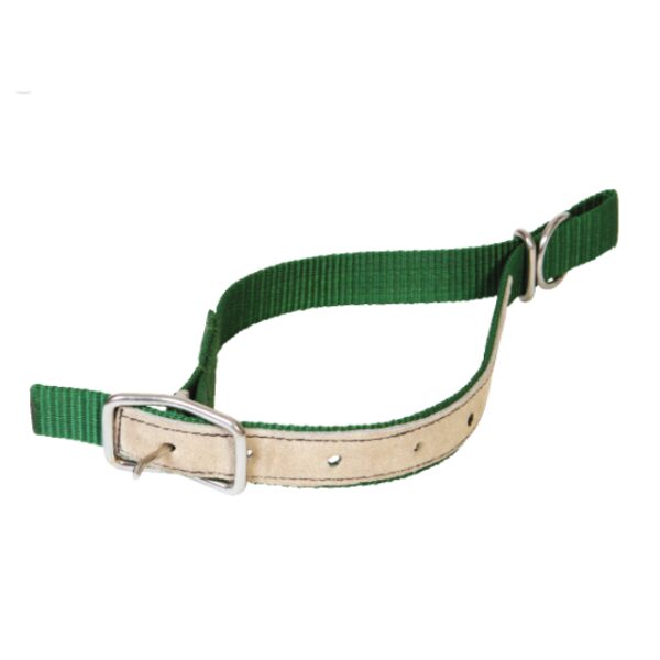 Kaiš za ovcu kamer zeleni