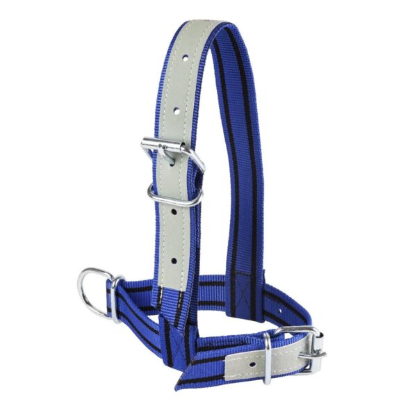 Ular za tele kamer 2