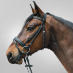 Uzda Diamant Waldhausen crna