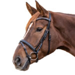 Uzda Rosemary Waldhausen