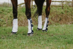Kamašne protiv insekata Riding World 3