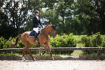 Kaciga AirLuxe Pure Pikeur 5