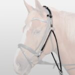 Šambon bez martingala Waldhausen