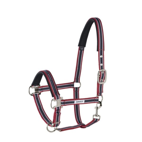Ular Pin Bucke Eskadron crveno belo teget