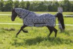Ćebe protiv insekata Combo Riding World 2