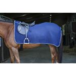 Ćebe Polo flis training Riding World teget