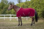 Letnje flis ćebe Equitheme bordo