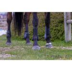 Prednje kamašne Riding World