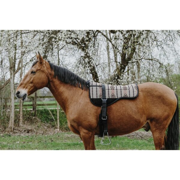 Sedlo bareback Kiowa Norton 5