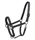 Ular Gloomy Waldhausen crni