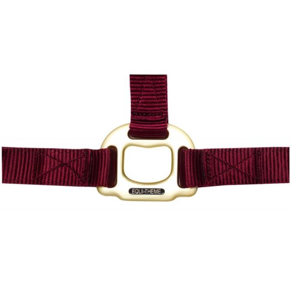Ular Nylon Equitheme bordo