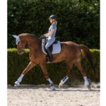 Podsedlica Rimini Waldhausen