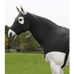 Zaštita za konja Waldhausen