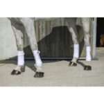 Bandaži Eco flis 3m Riding World 7