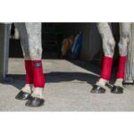 Bandaži Eco flis 3m Riding World 9