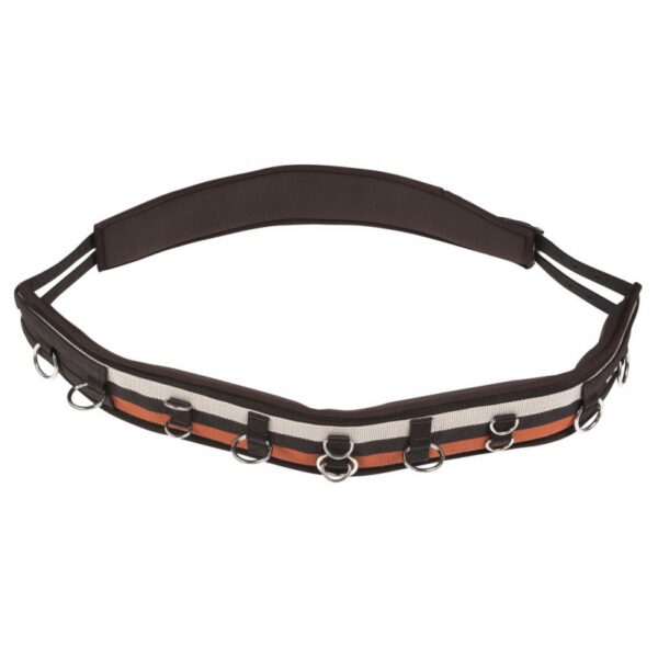 Kolan za lonžiranje Norton braon-narandžasta