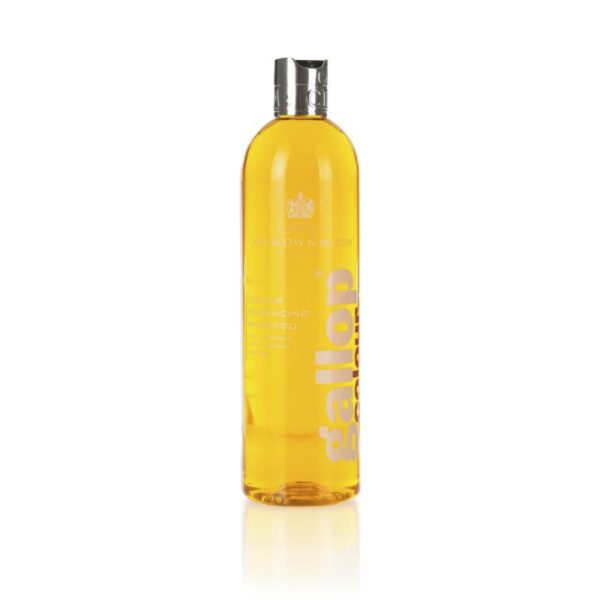 Šampon za kesten konje 500ml Gallop