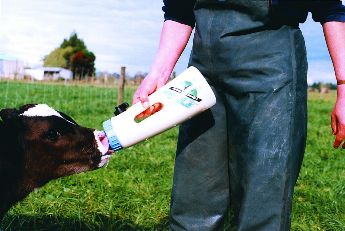 Flašica za dojenje Speedy 4l Shoof - Слика 3