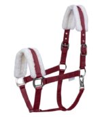 Ular First Waldhausen bordo