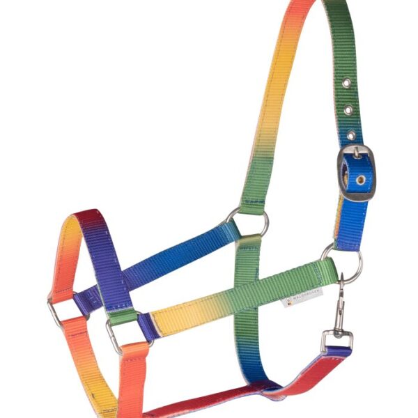 Ular Rainbow Waldhausen 2