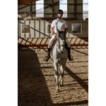 Muška polo majica Edy Equitheme - Image 4