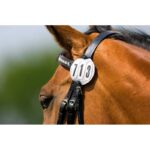 Takmičarski broj Equitheme