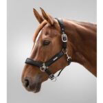Ular Breath Waldhausen