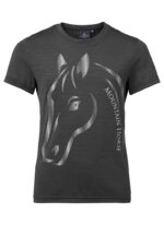 Dečija majica U and I Mountain Horse siva