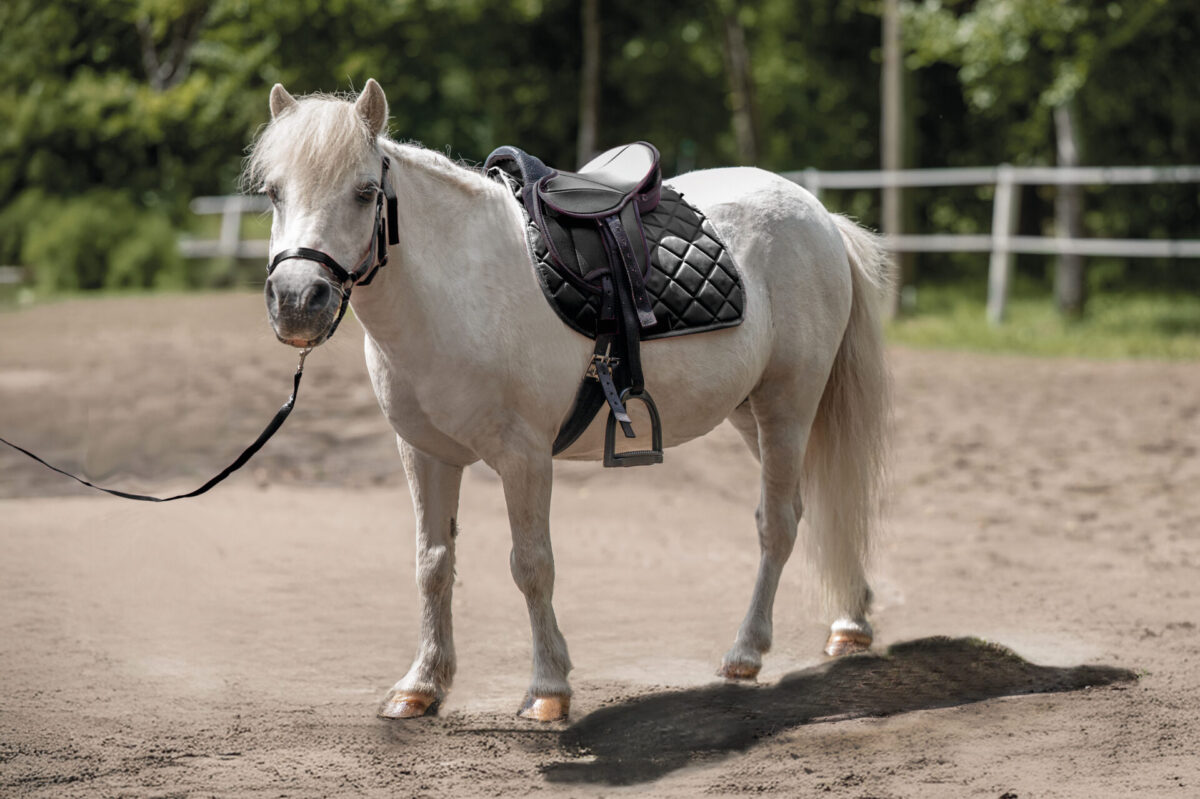 Sedlo pony komplet Lucy HKM 2