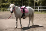 Sedlo pony komplet Lucy HKM roza 2
