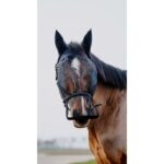 Anti UV maska i ular protiv muva Equitheme 4