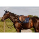 Pršnjak i martingal 5 points Norton