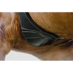 Kožni anatomski kolan Norton crna 4