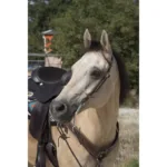Western uzda One Ear braon
