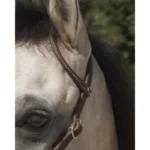 Western uzda One Ear braon 2