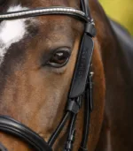 Blinkers Waldhausen 3