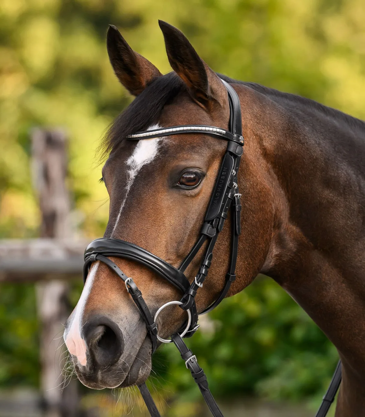 Blinkers Waldhausen 4